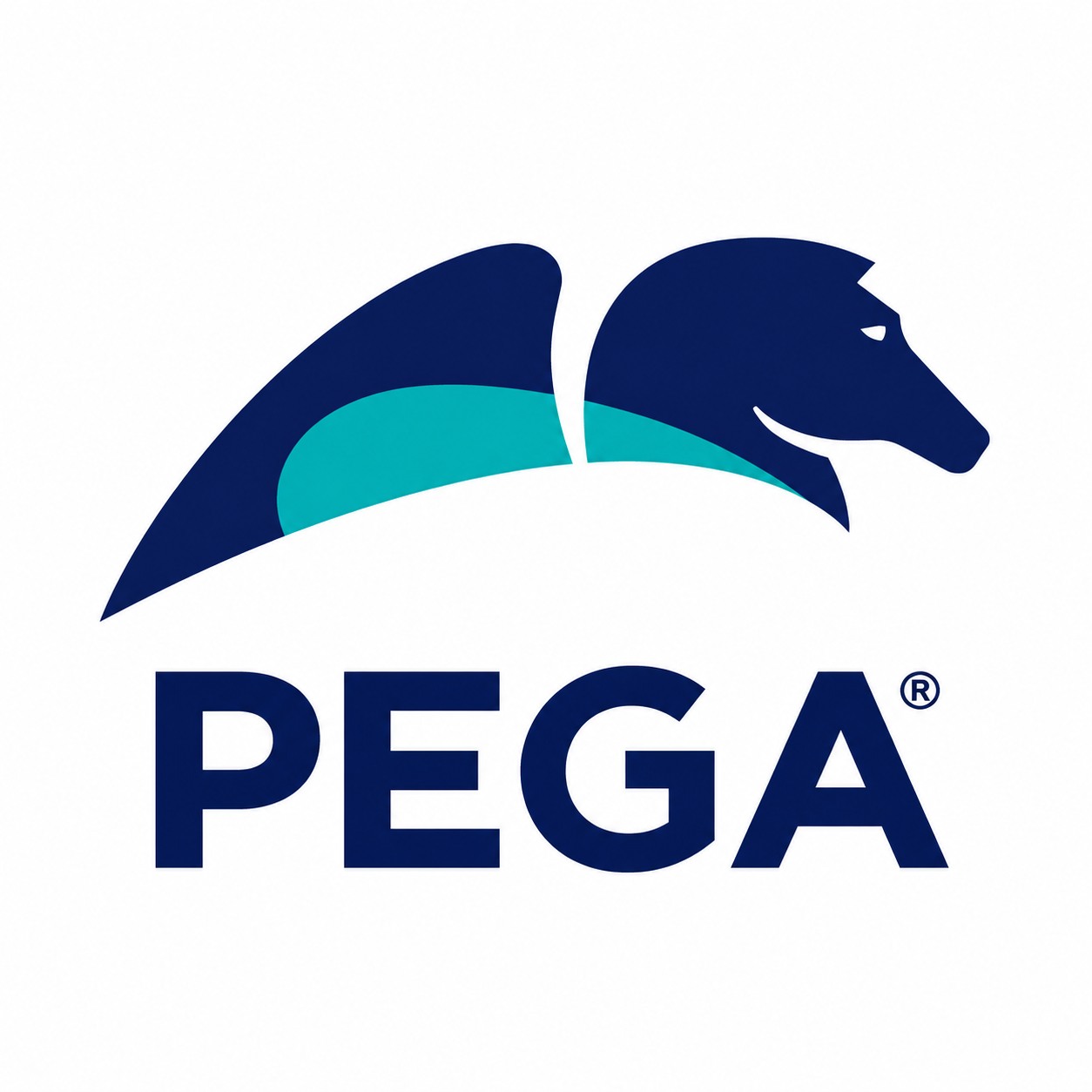 Pegasystems Worldwide India