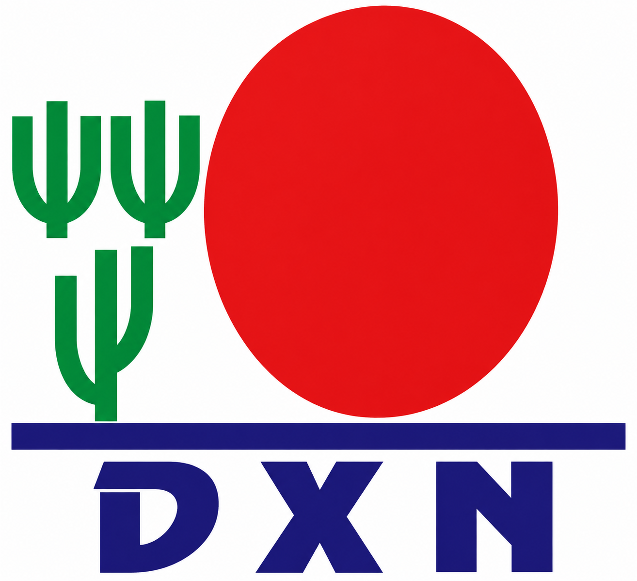 DXN Manufacturing (India) Private Limited