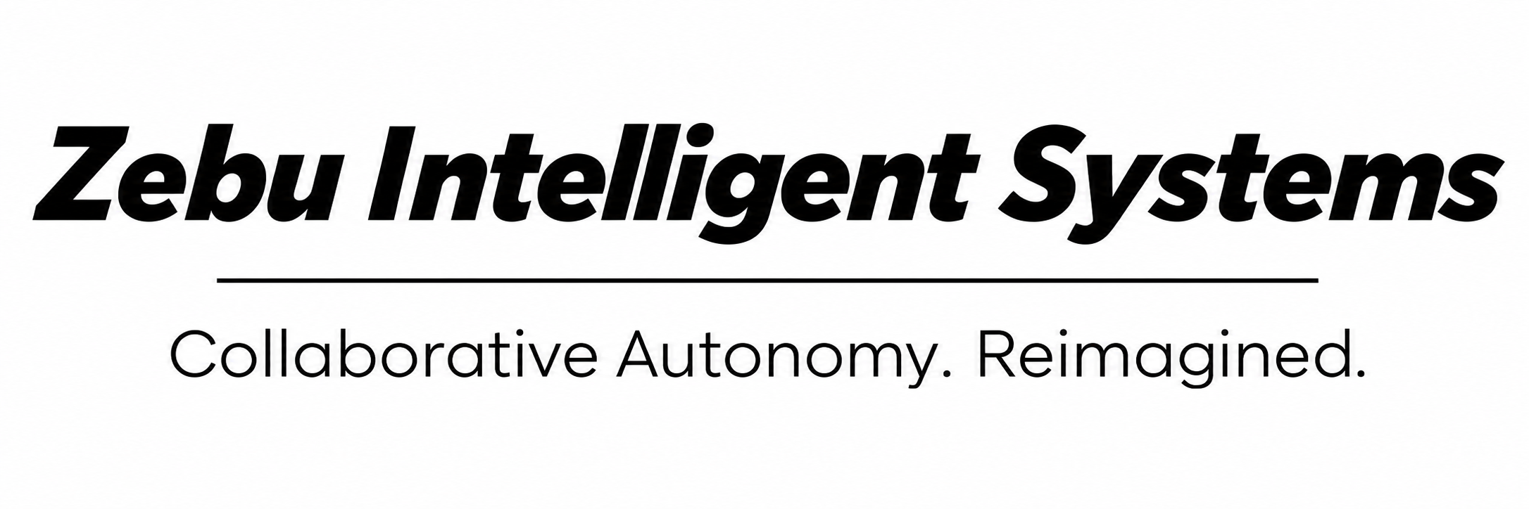 Zebu Intelligent Systems Private Limited